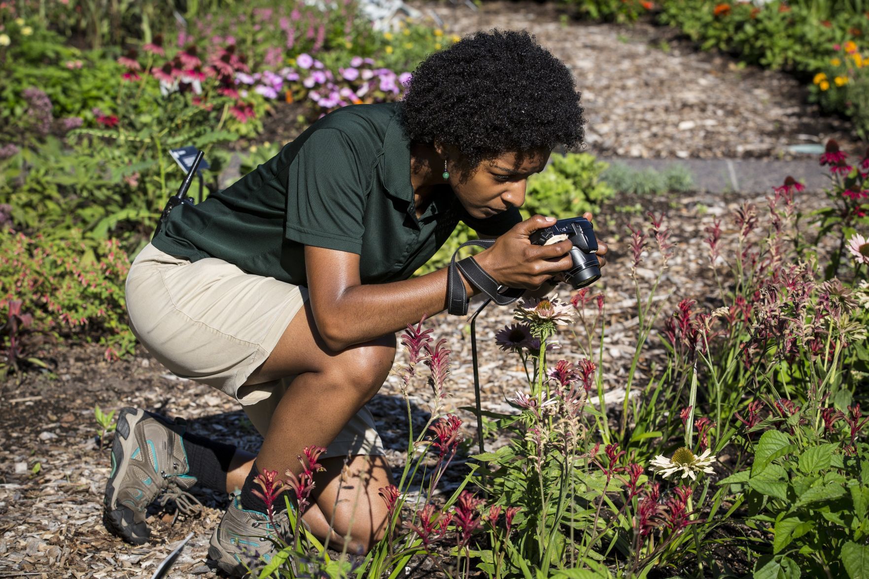BLACK BOTANISTS